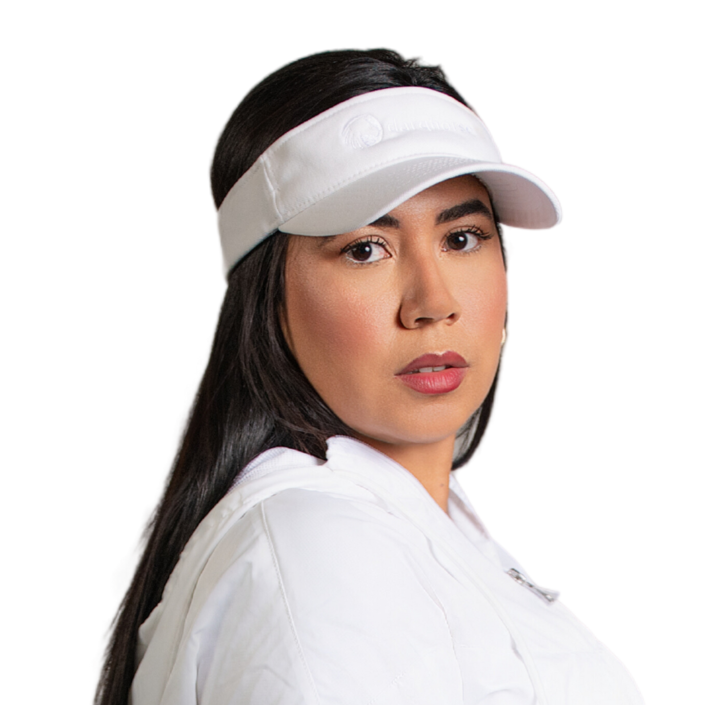 DH Visor