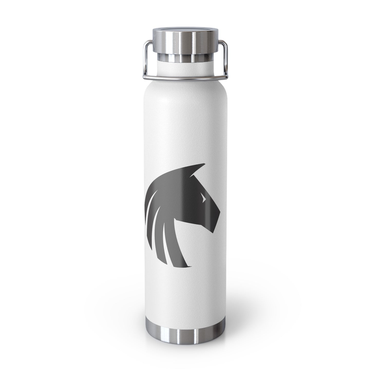 22oz Vacuum Insulated Bottle